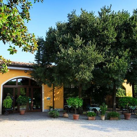 Agriturismo La Montina Ponti sul Mincio Exterior foto